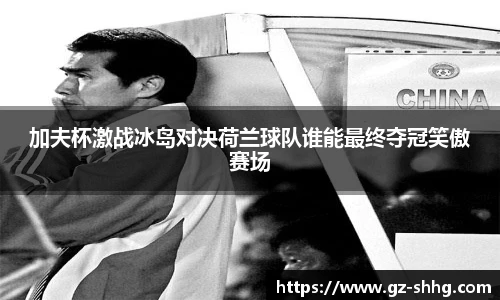 加夫杯激战冰岛对决荷兰球队谁能最终夺冠笑傲赛场